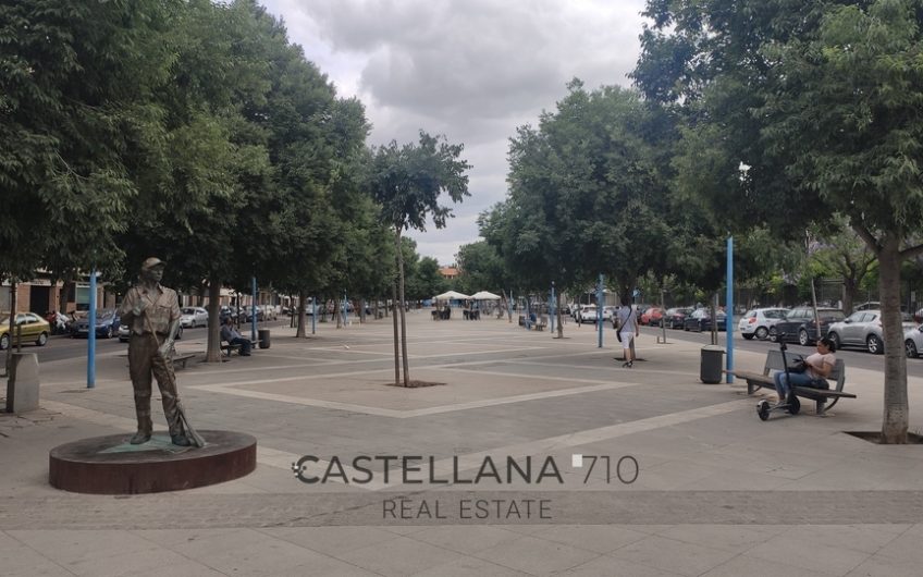 Locales Hernan Ruiz - castellana real estate