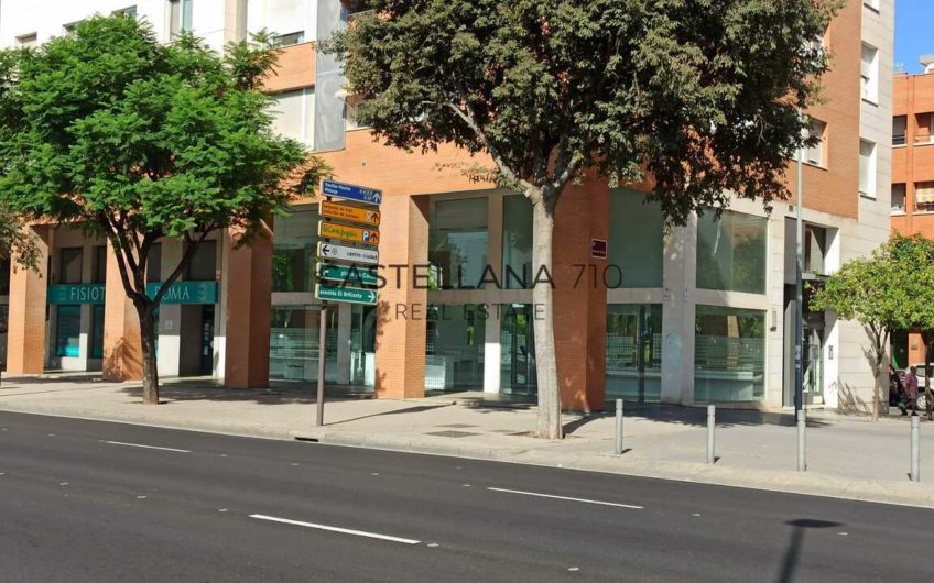 local vial - castellana real estate