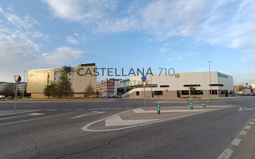 Delicias - Castellana Real Estate
